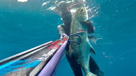 irokumata|irokumata (@spearfishing